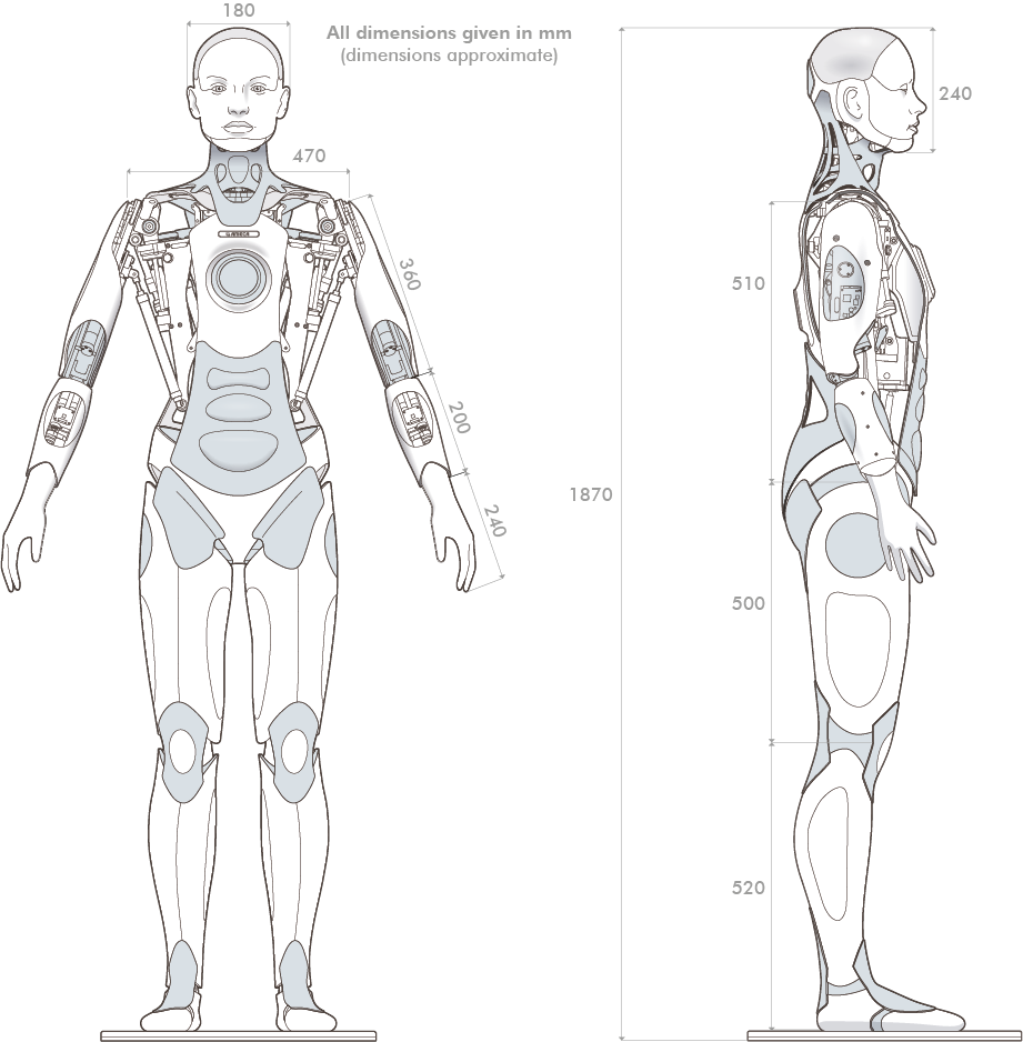ameca_detailed_dimensions.png