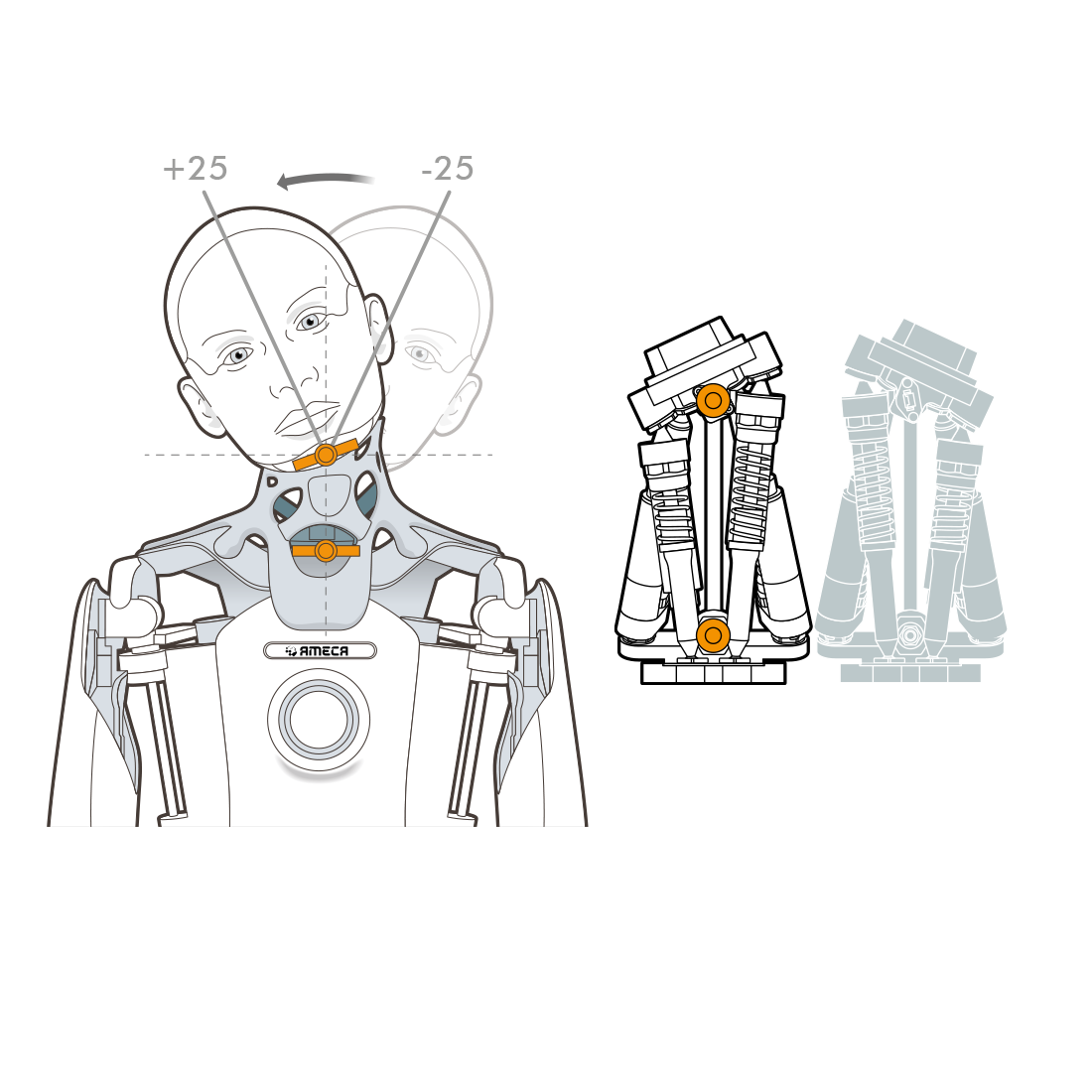 ameca-head-roll.png