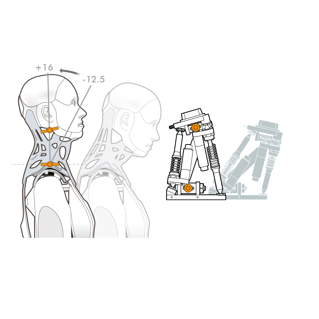 ameca-neck-pitch.png