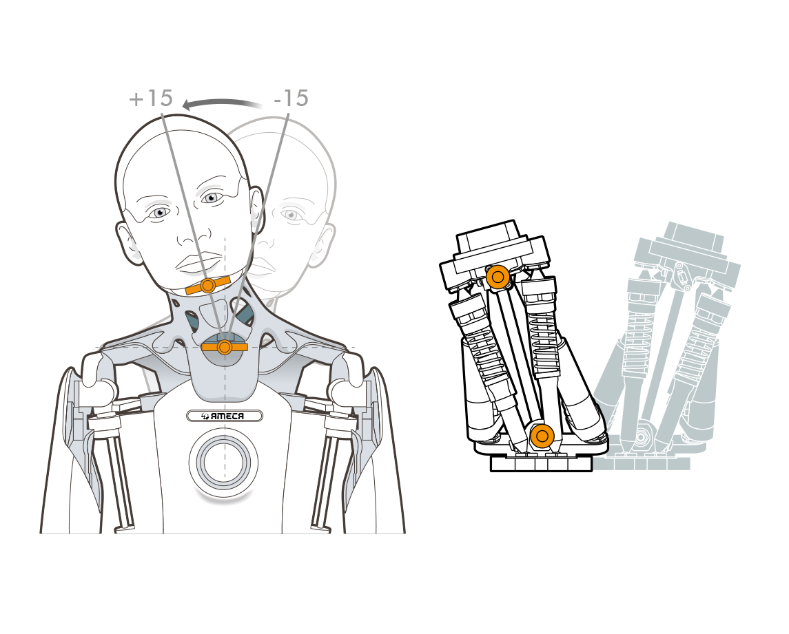 ameca-neck-roll.png