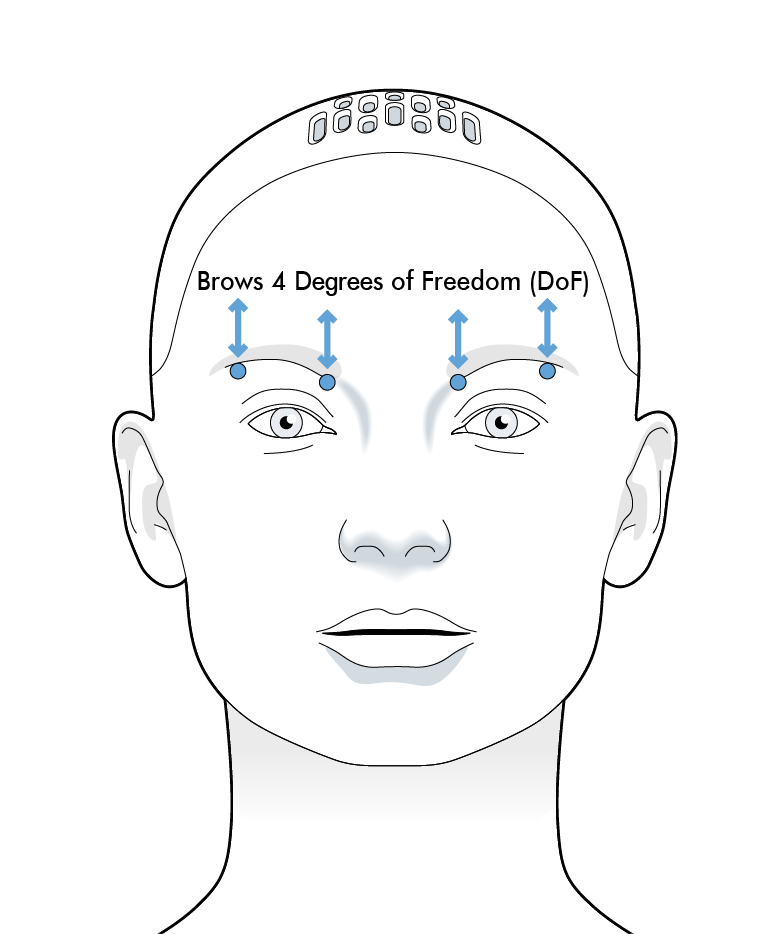 Brow degrees of freedom