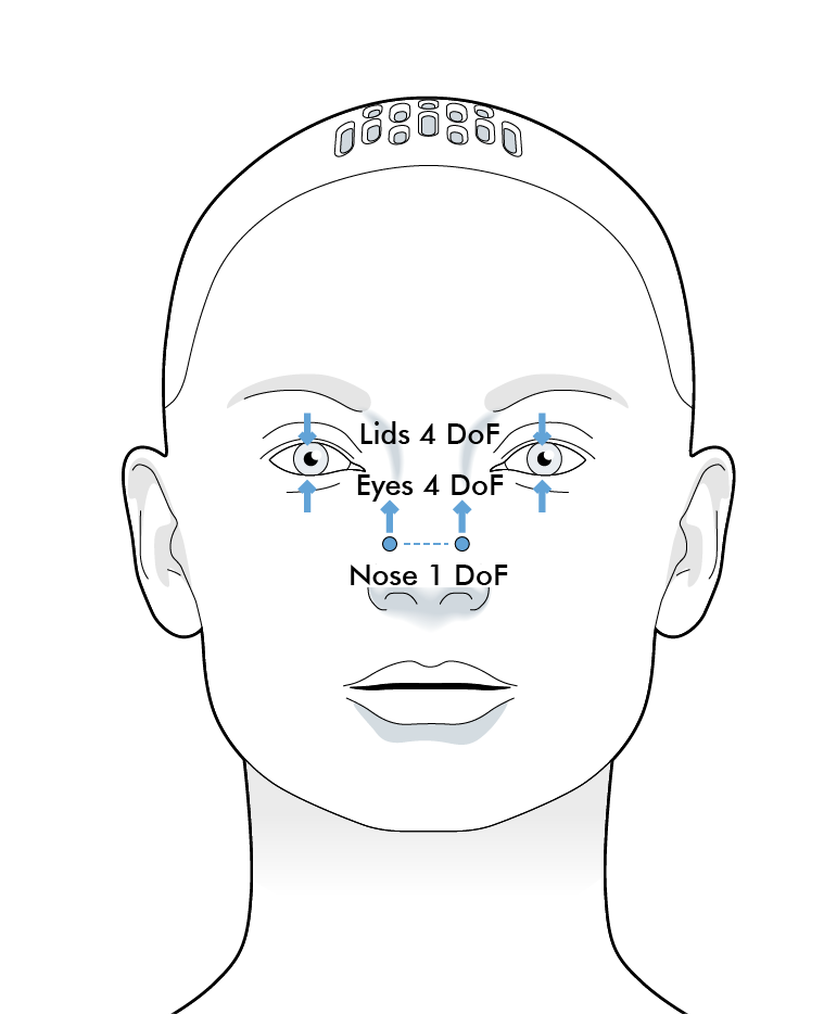 Eye and nose degrees of freedom
