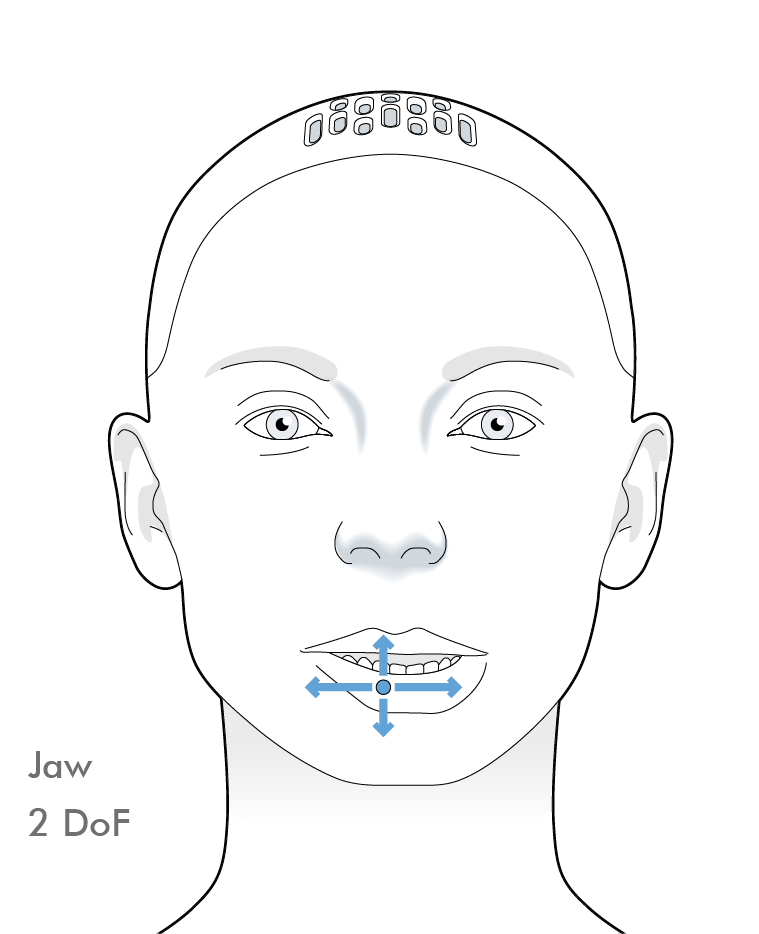 Jaw degrees of freedom